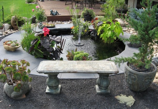Pond In Rio Terrace