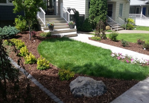 Front Yard In Bonnie Doon